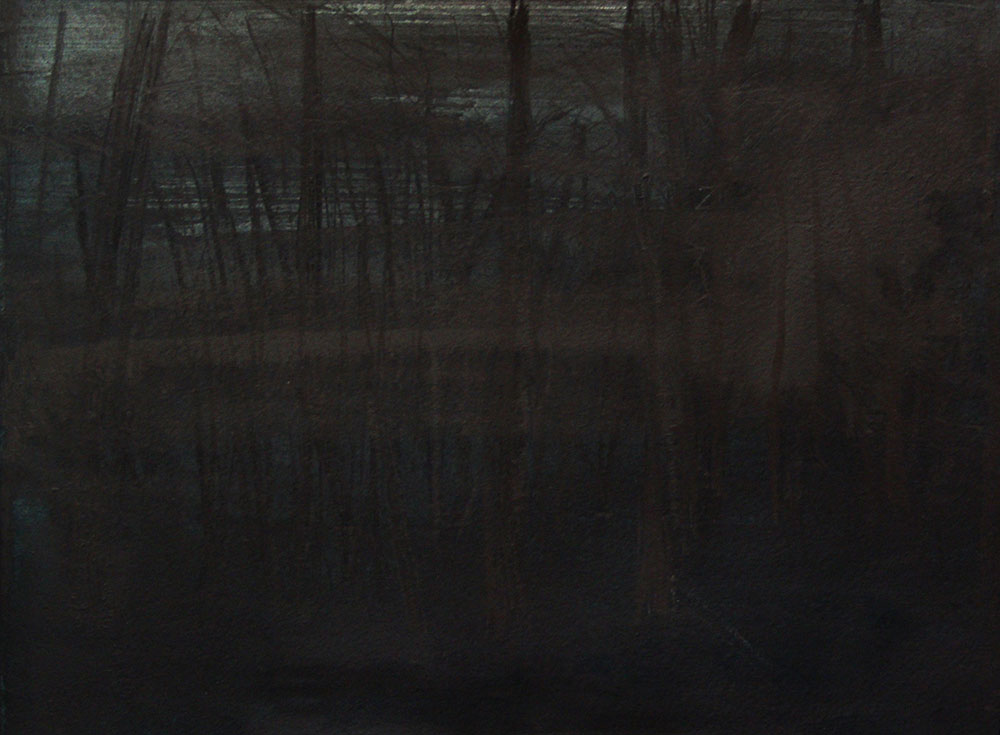 Pablo Gonzalez-Trejo, Forest 4, 20.5 x 29 cm, Técnica Mixta sobre papel, 2013
