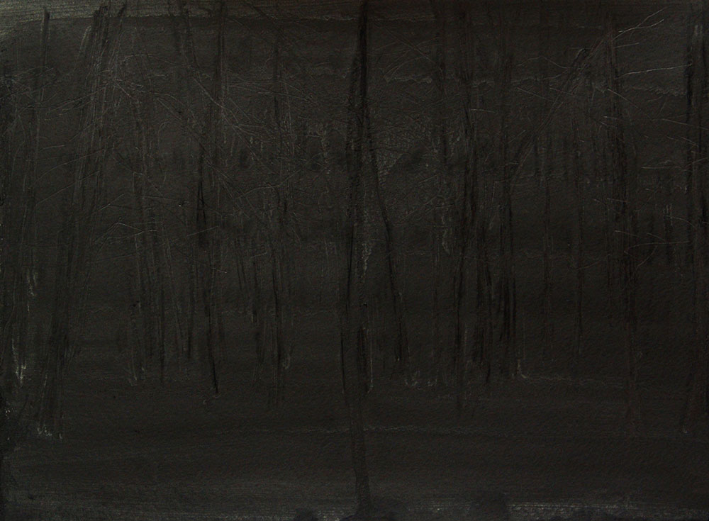 Pablo Gonzalez-Trejo, Forest 5, 20.5 x 29 cm, Técnica Mixta sobre papel, 2013