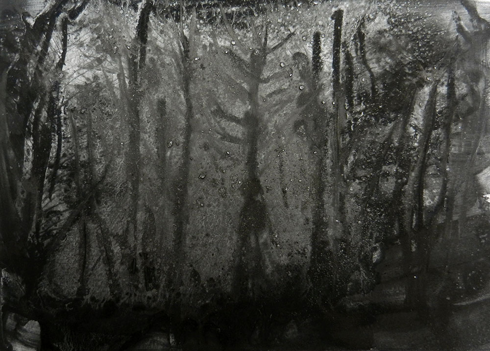 Pablo Gonzalez-Trejo, Forest 8, 20.5 x 29 cm, Técnica Mixta sobre papel, 2013